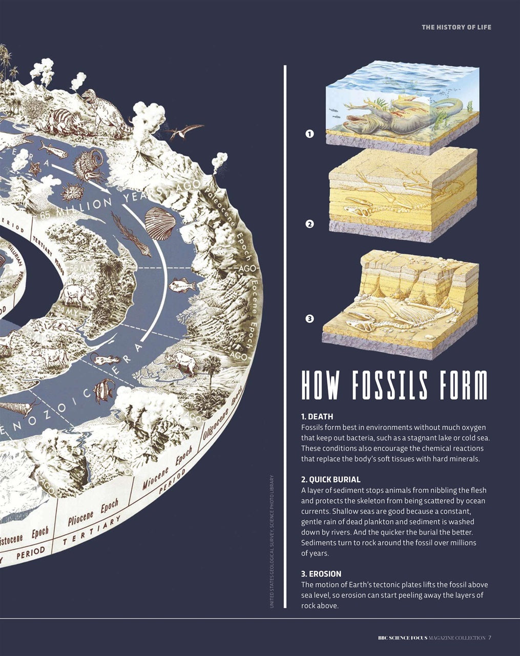 Science Focus Magazine - The Ultimate Guide to Ancient Life on Earth - Special Issue