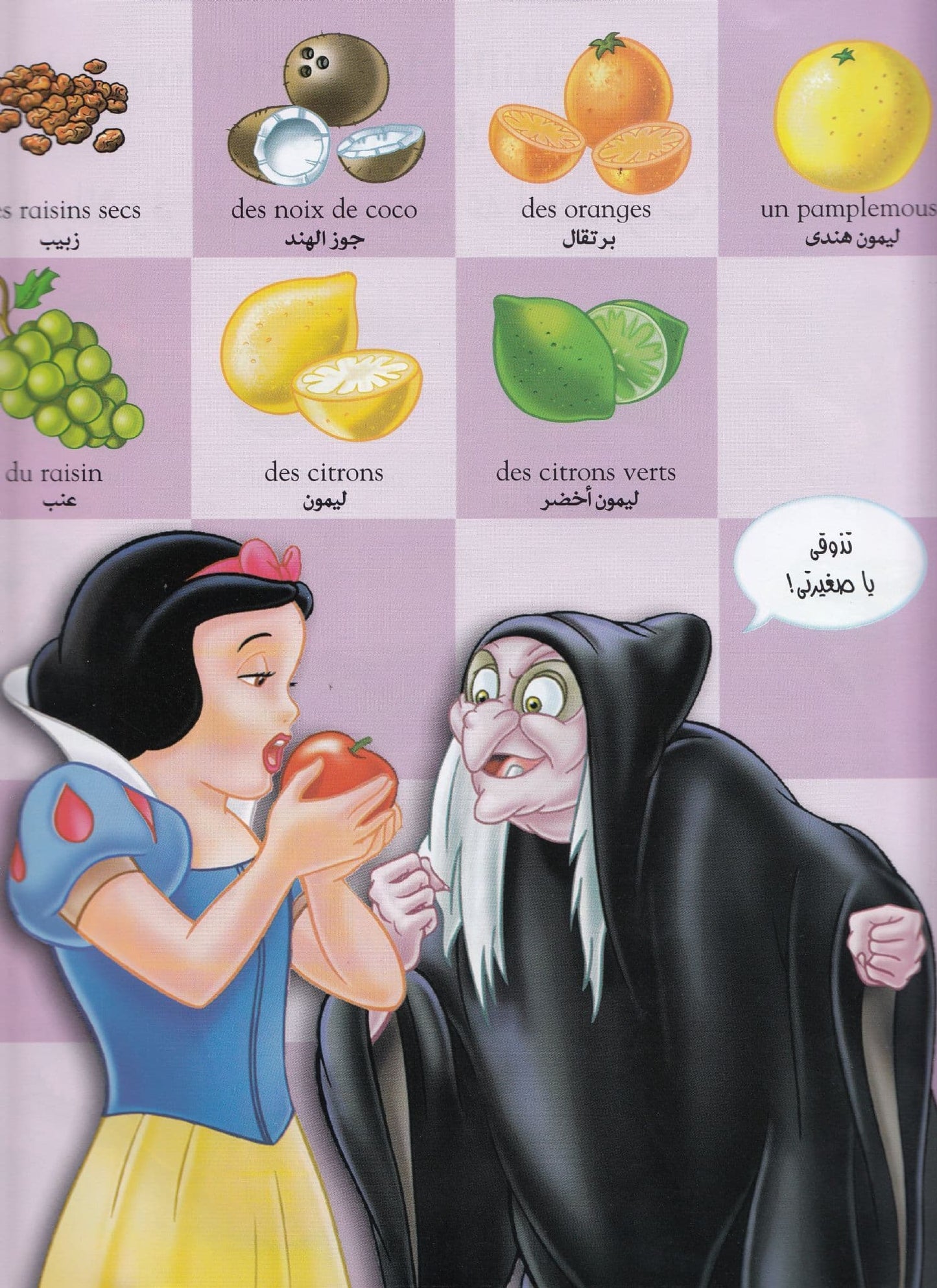 أول 1000 كلمة في حياتي Mon premier imagier 1000 mots - فرنسي / عربي -غلاف مُقوّى