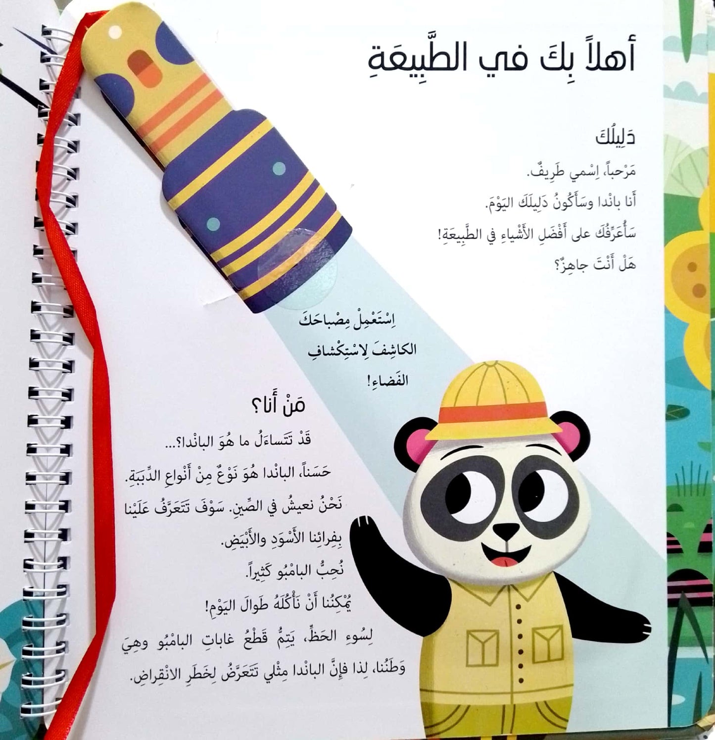 الطبيعة - سلسلة سلط الضوء واكتشف - غلاف مُقوّى