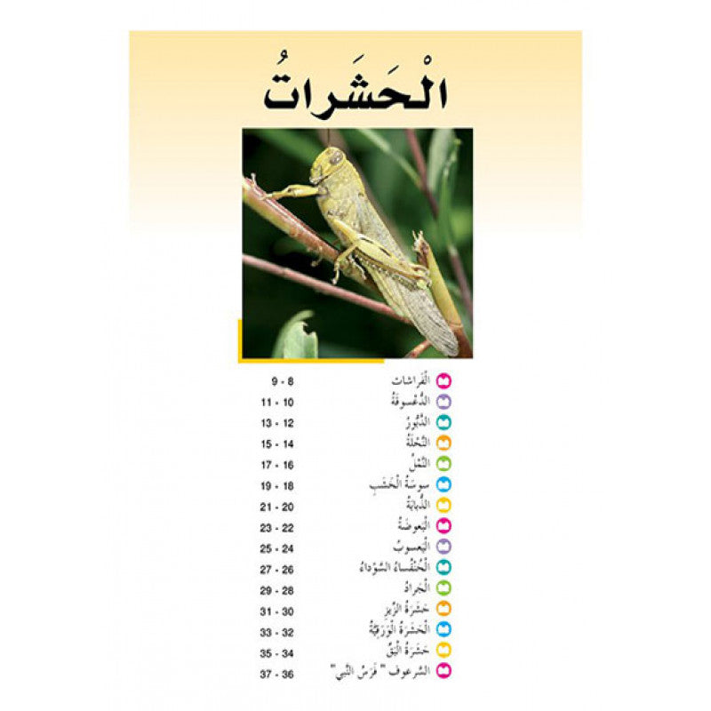 الحشرات - سلسلة حيوانات مدهشة في العالم - غلاف مُقوّى