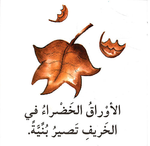 مجموعة أقرأ بالعربية
