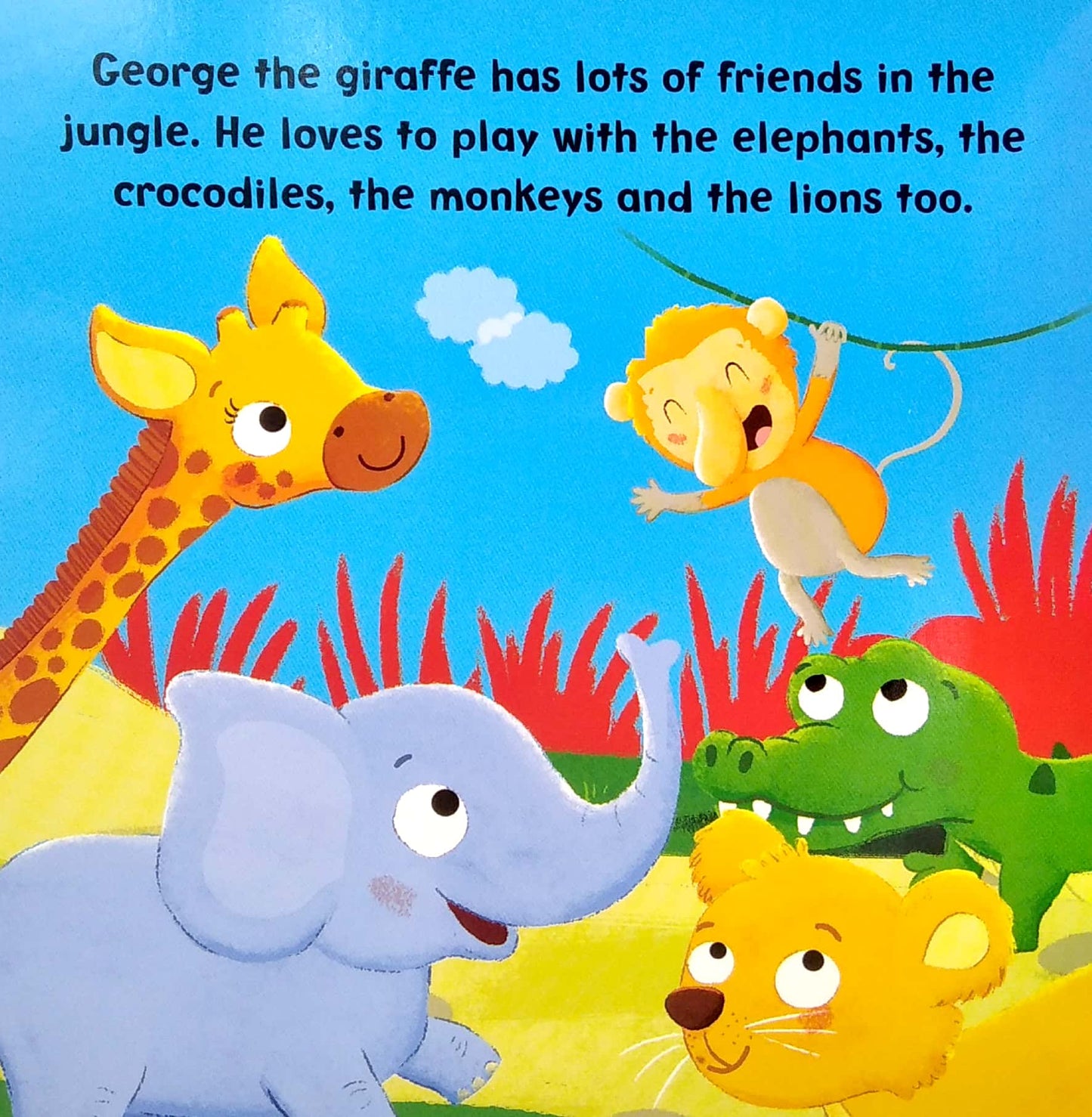 George Giraffe - Board Book
