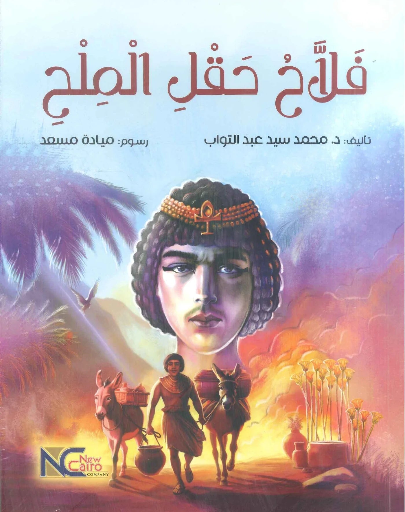 فلاح حقل الملح