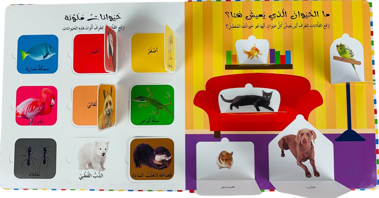 أول 100 حيوان - سلسلة ارفع القلابة - ورق مُقوّى