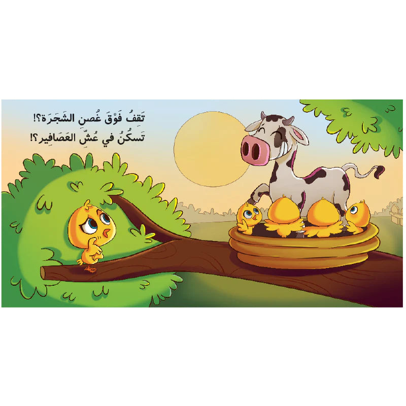هل رأيتم مرة؟
