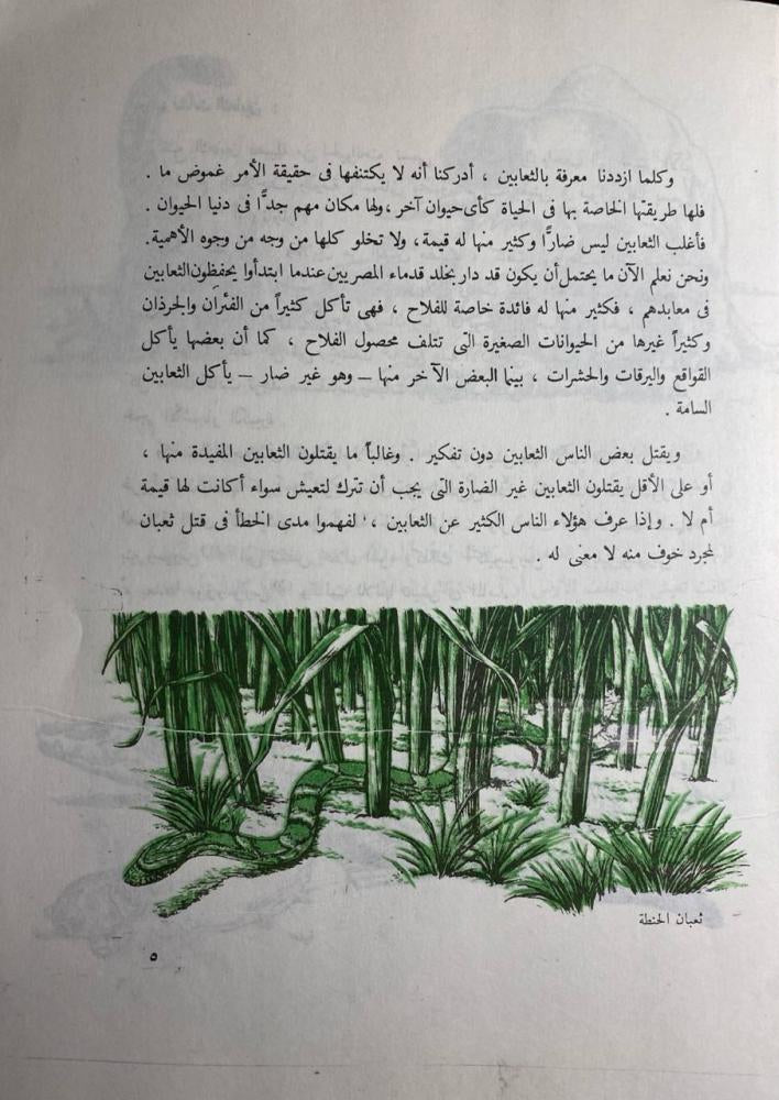 الثعابين - سلسلة كتابك الأول عن
