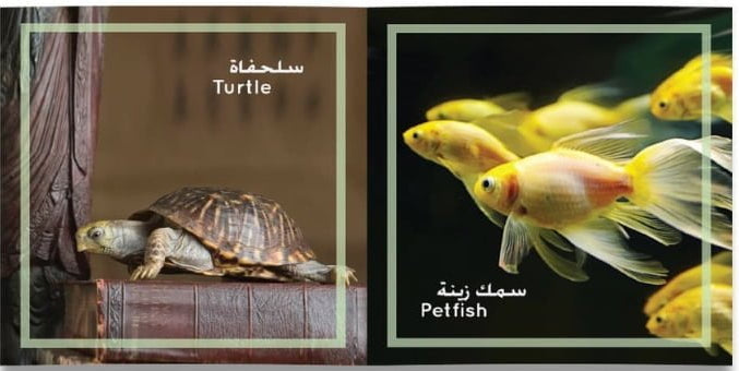 سلسلة كتابي الصغير - 12 كتيب ورق مقوى