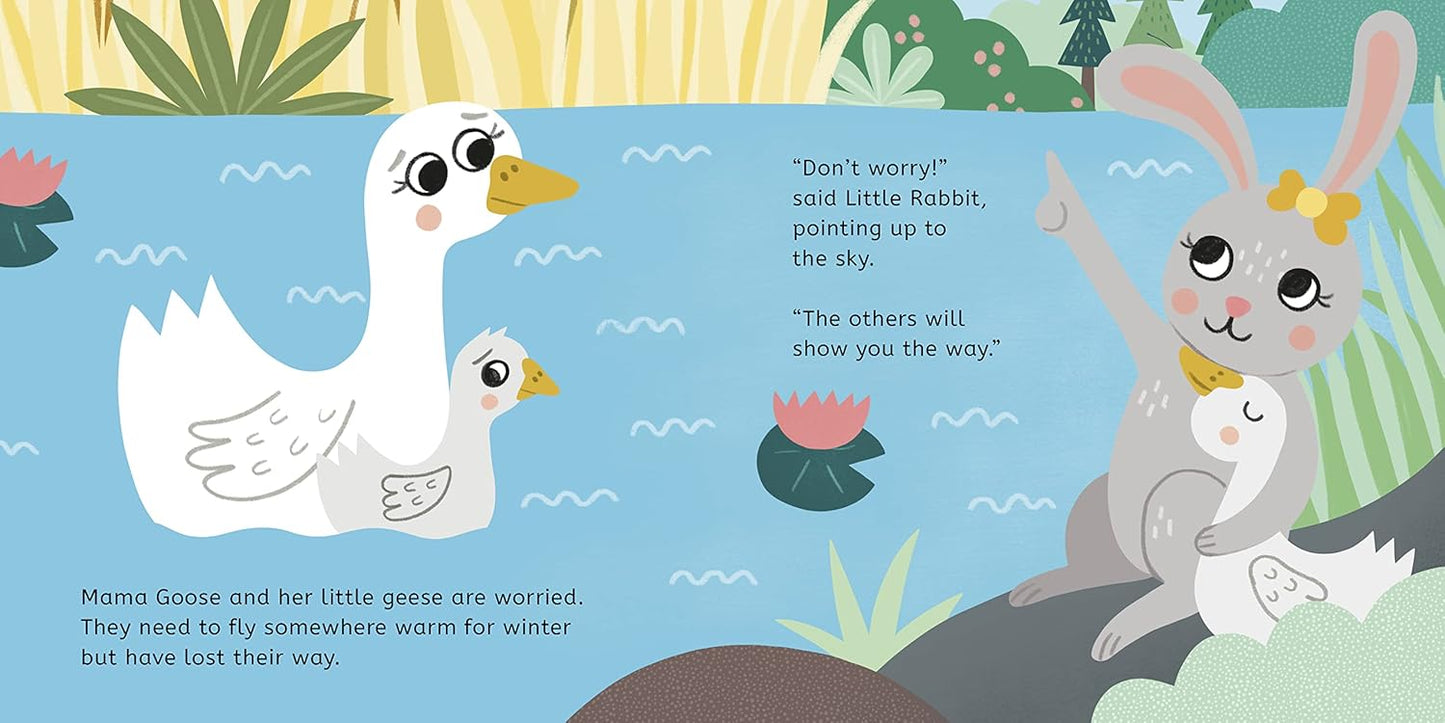 Thank You, Little Rabbit - Board book