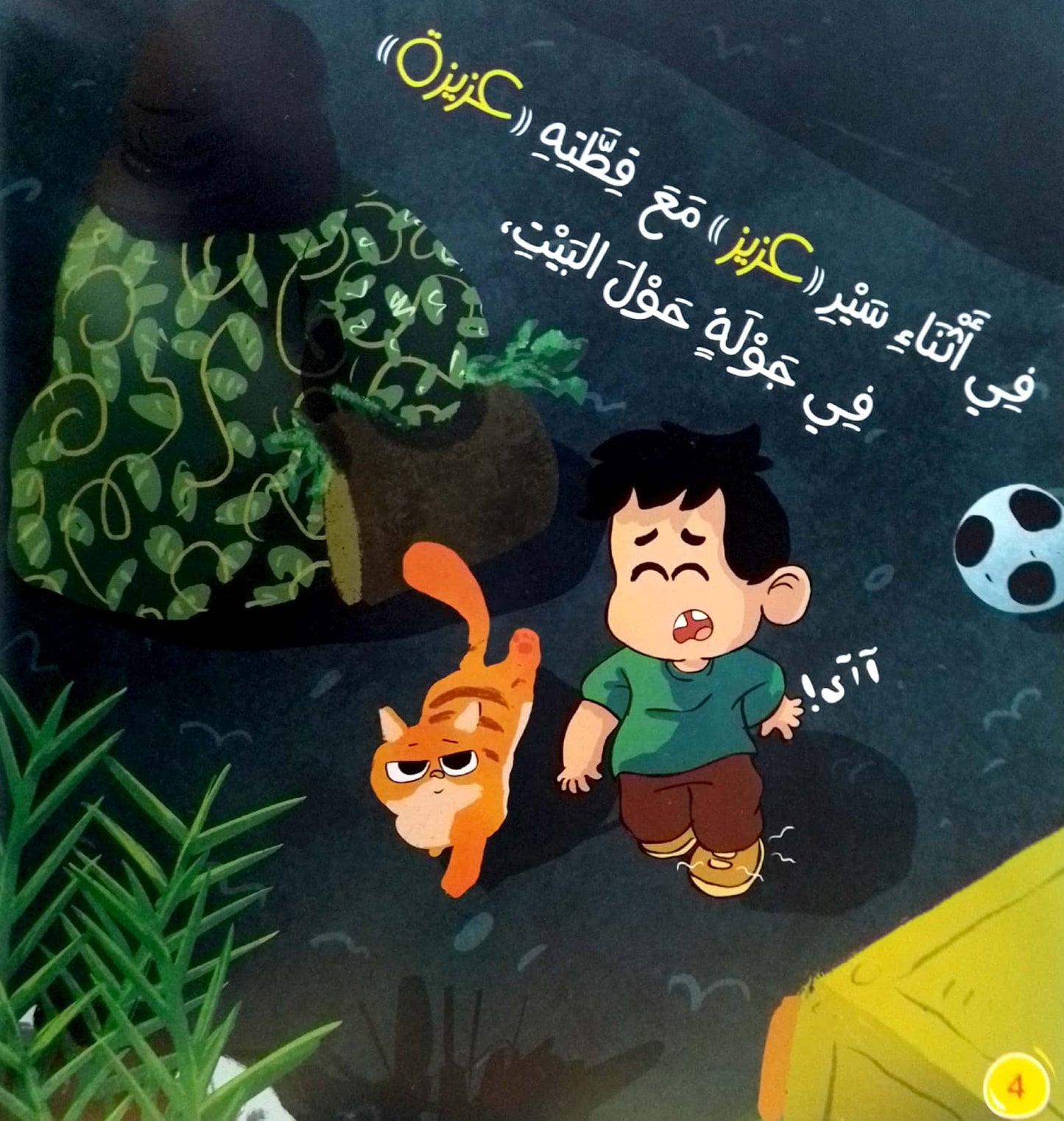 حصاة في حذائي