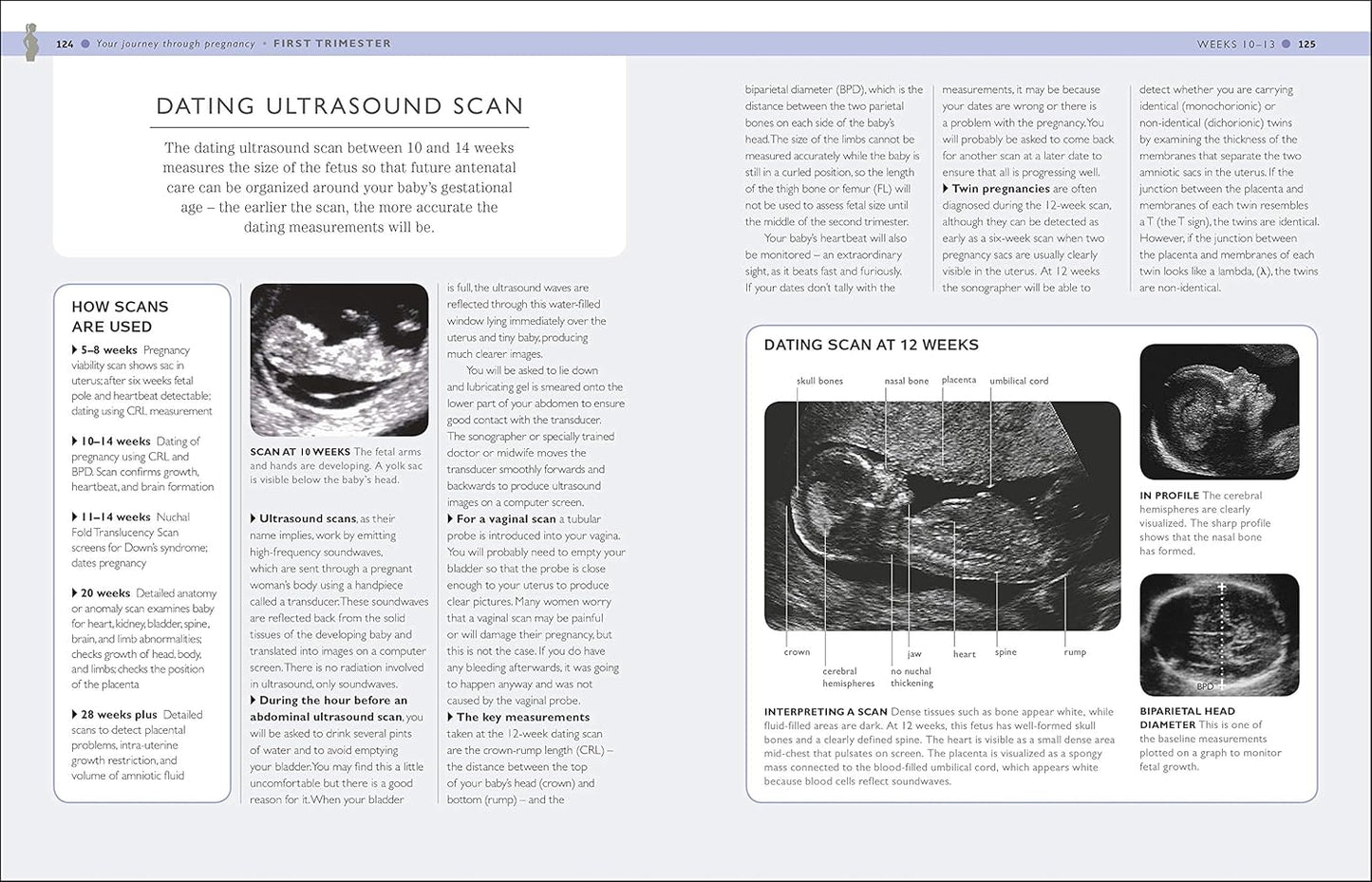 Your Pregnancy Week by Week: What to Expect from Conception to Birth