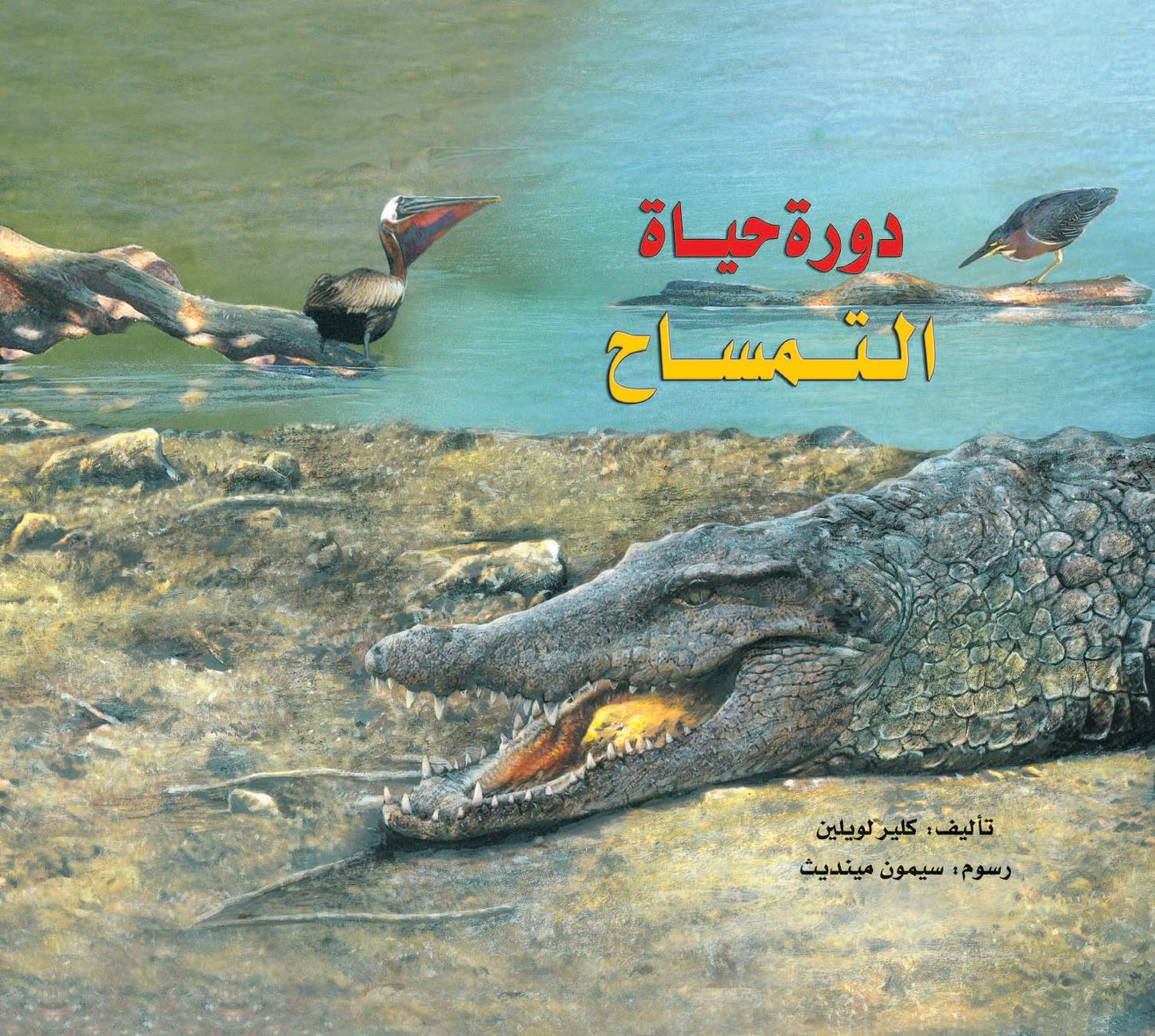 دورة حياة التمساح - غلاف مُقوّى