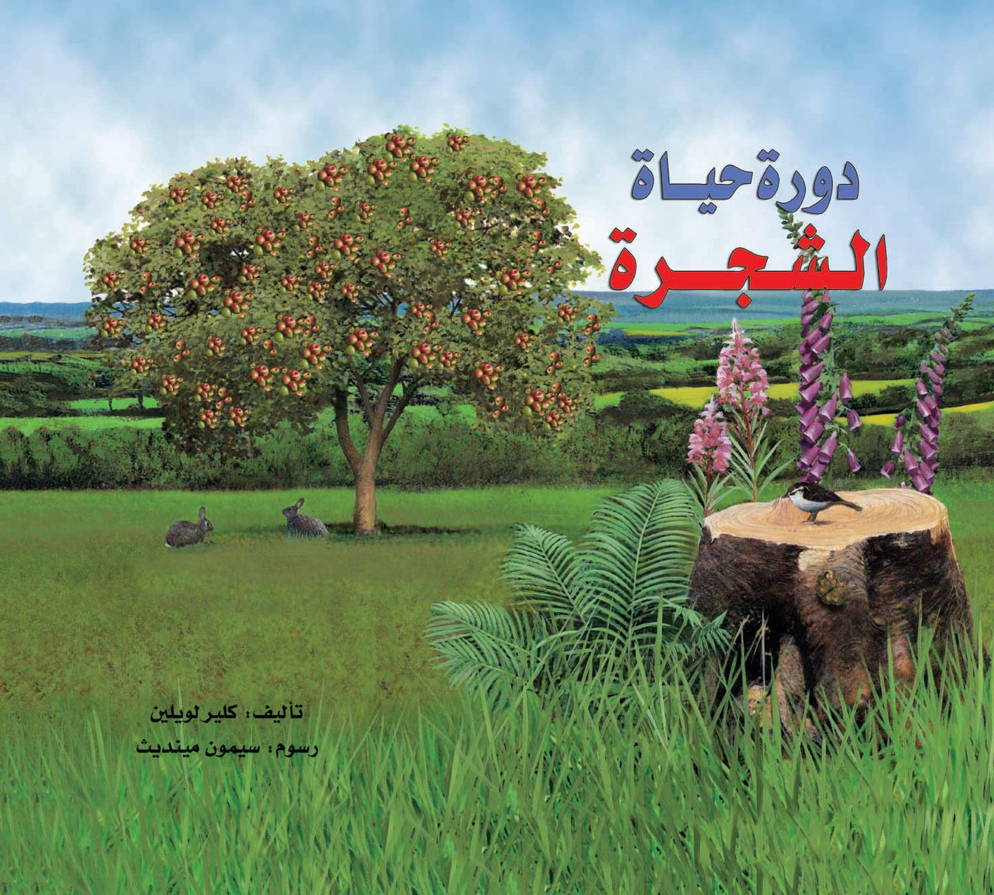 دورة حياة الشجرة - غلاف مُقوّى