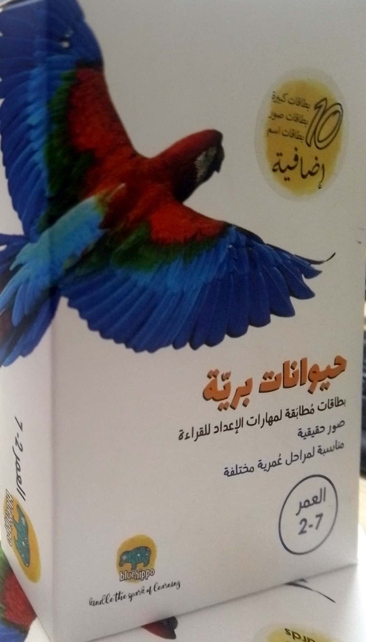 حيوانات برية - بطاقات مطابقة لمهارات الإعداد للقراءة