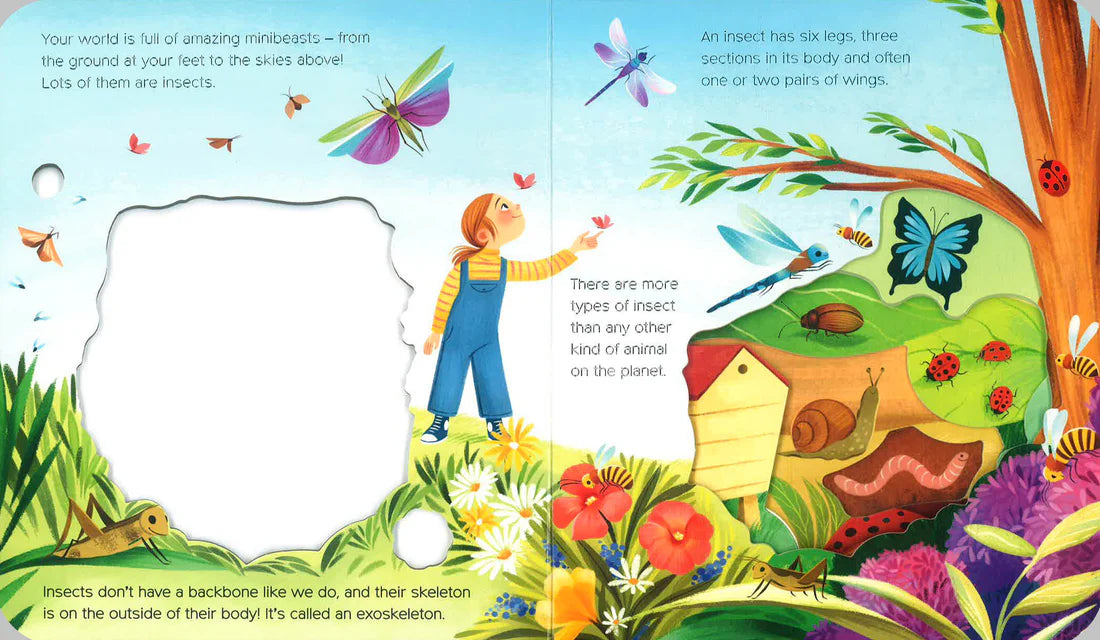 What Can You See? In the Garden - Board book