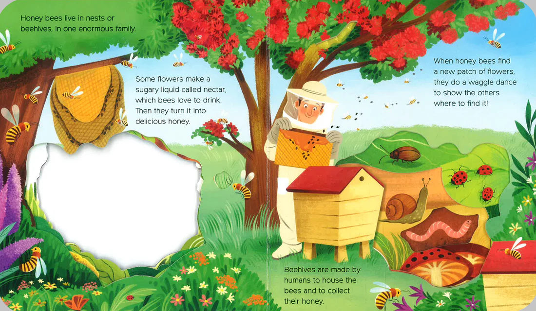 What Can You See? In the Garden - Board book