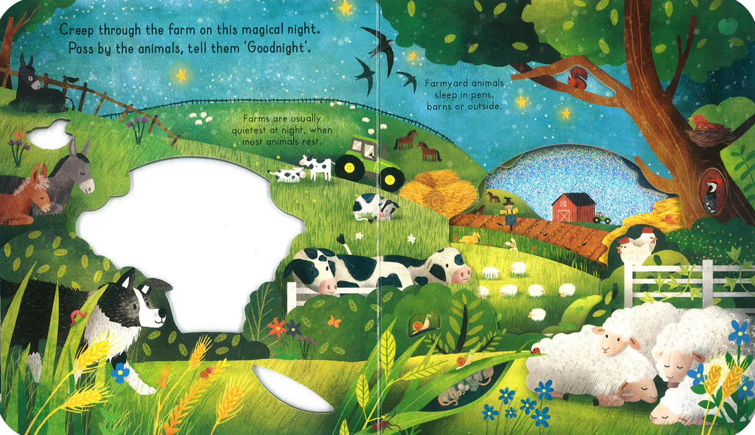Little Explorers: Goodnight Farm - Board book