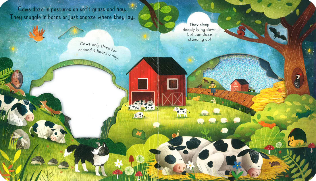 Little Explorers: Goodnight Farm - Board book