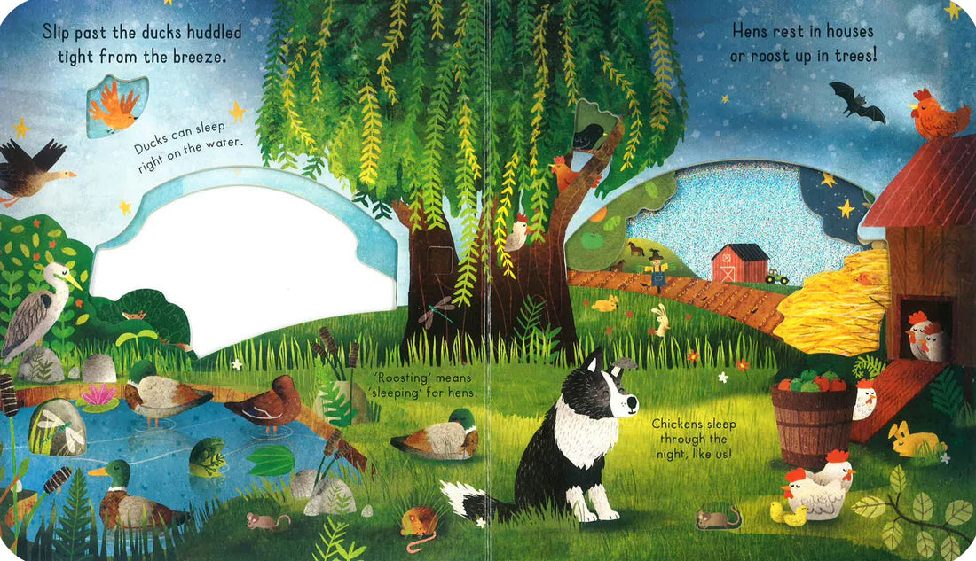 Little Explorers: Goodnight Farm - Board book
