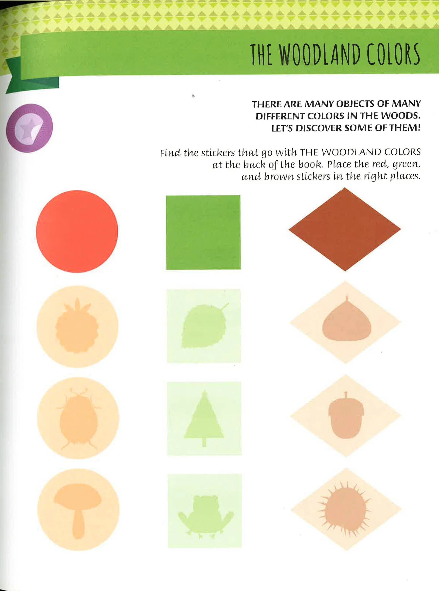 The Montessori Method: Animal