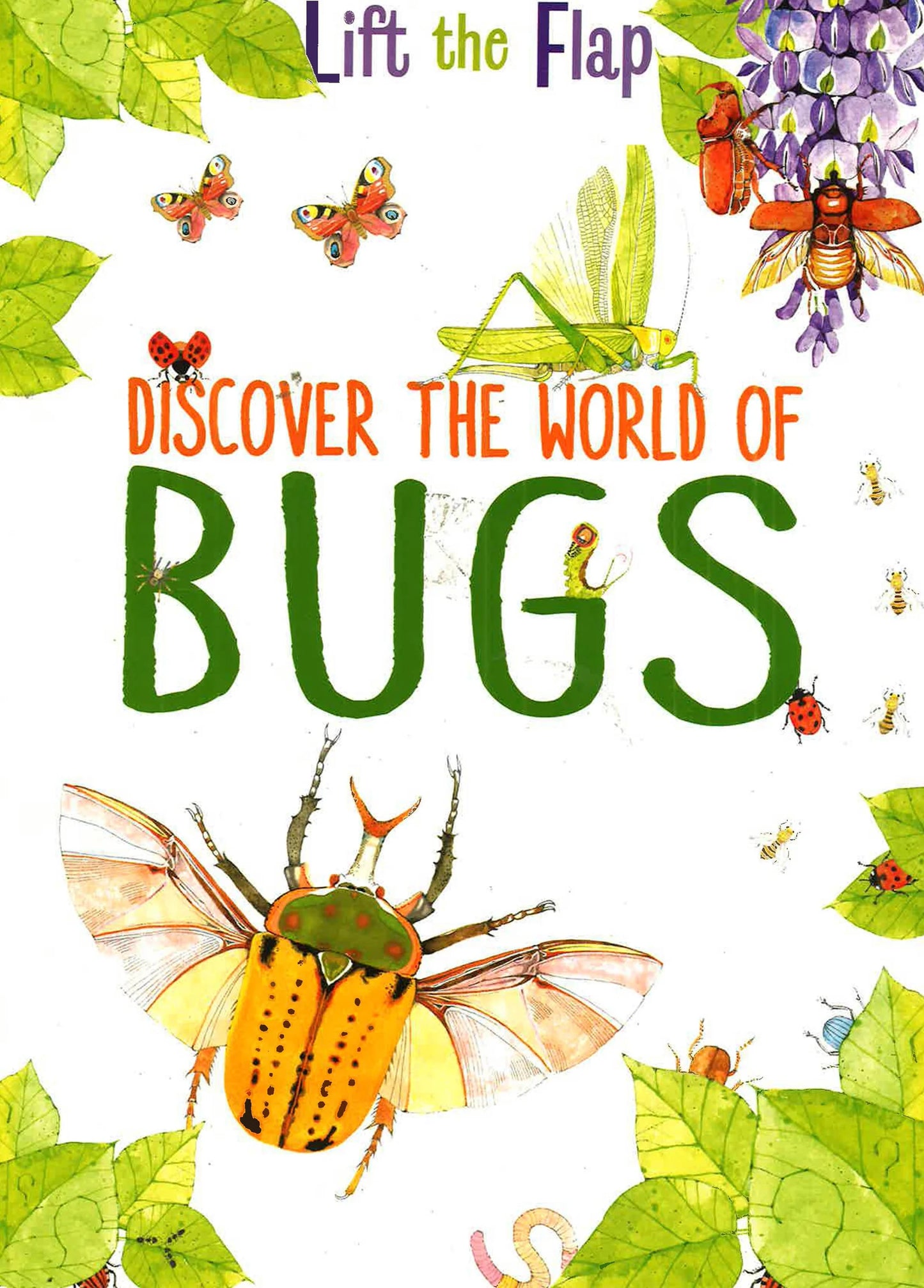 Lift The Flaps: Discover the World of Bugs - Hardcover