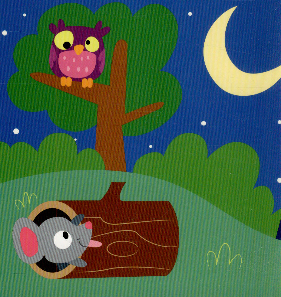 What's that Sound: Night Time - Board Book