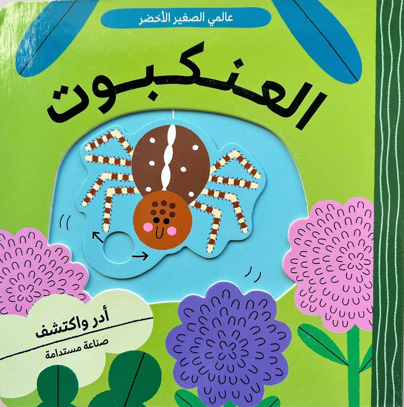 العنكبوت - سلسلة عالمي الصغير الأخضر - ورق مُقوّى