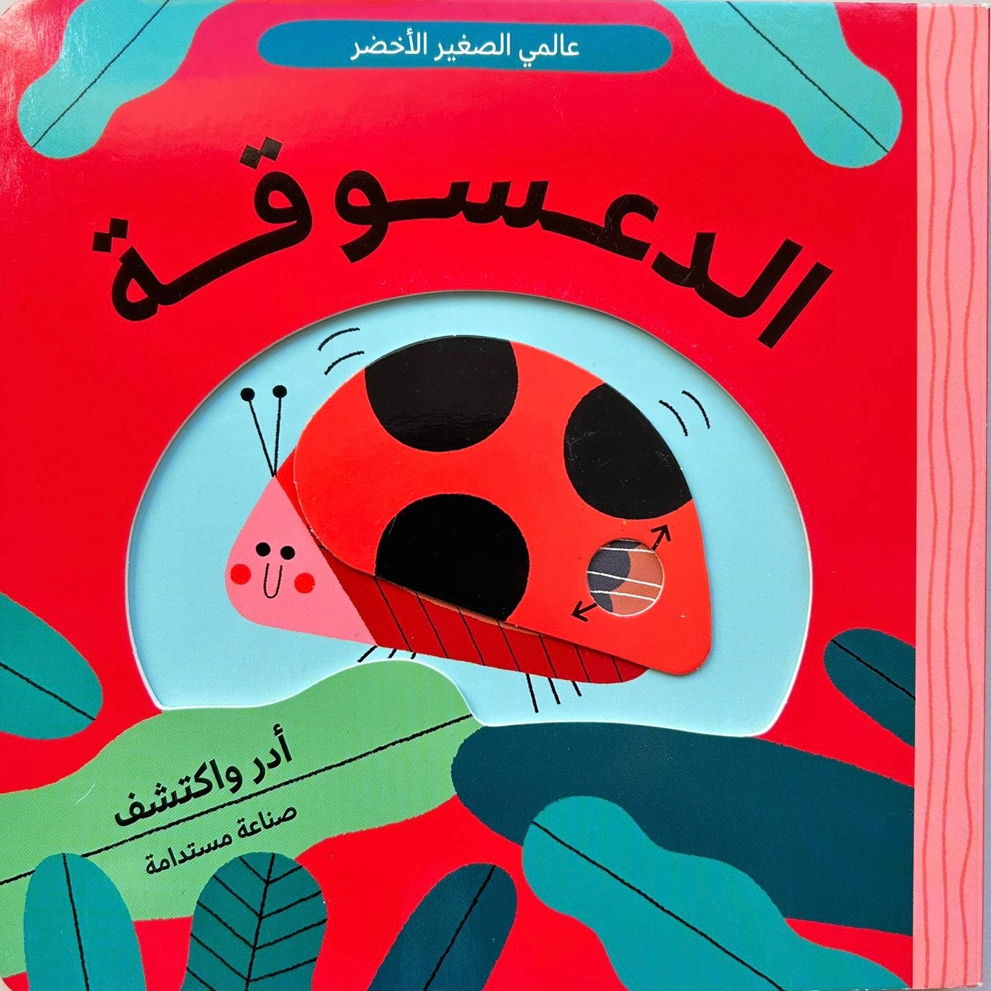 الدعسوقة - سلسلة عالمي الصغير الأخضر - ورق مُقوّى
