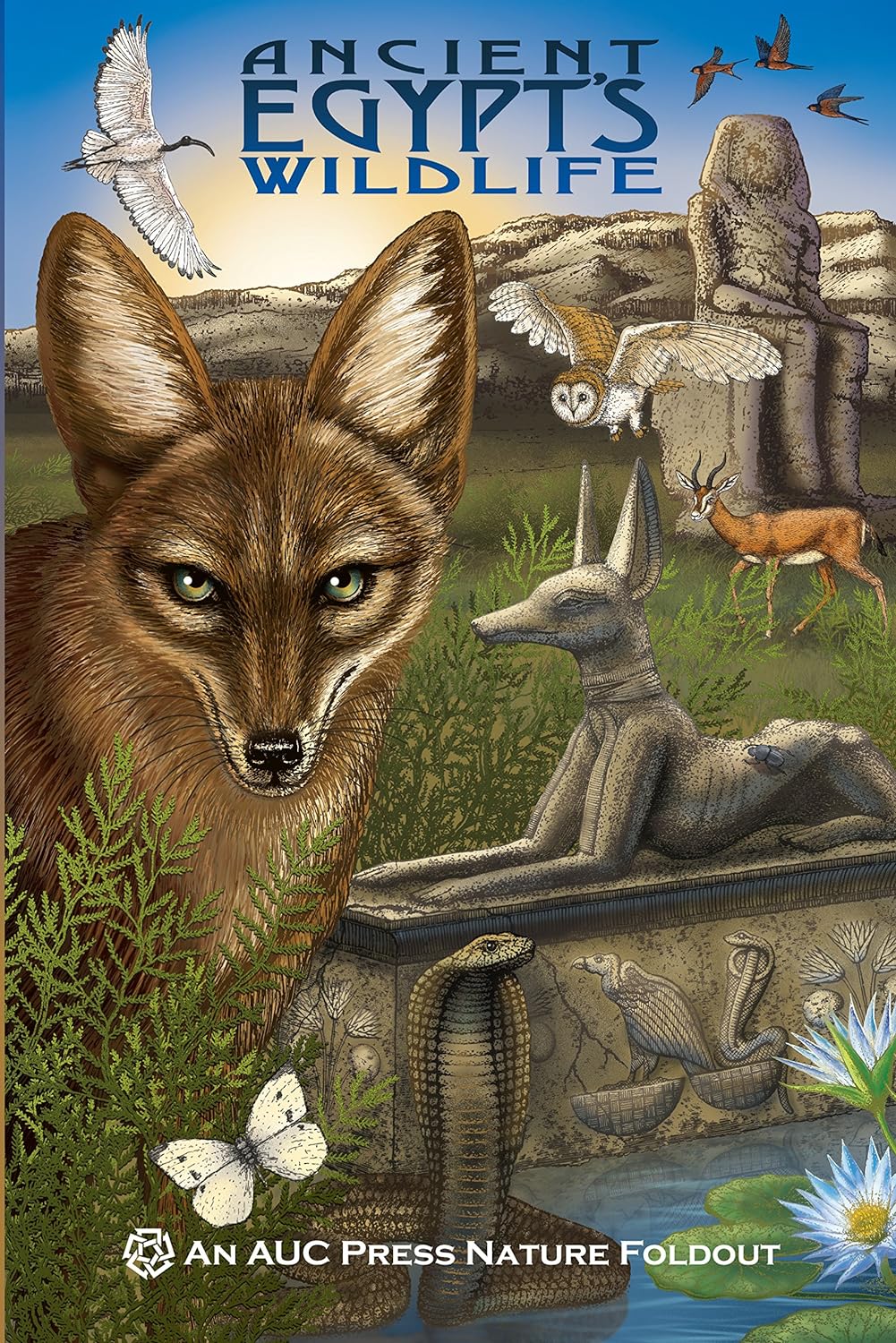Nature Foldout - Ancient Egypt’s Wildlife