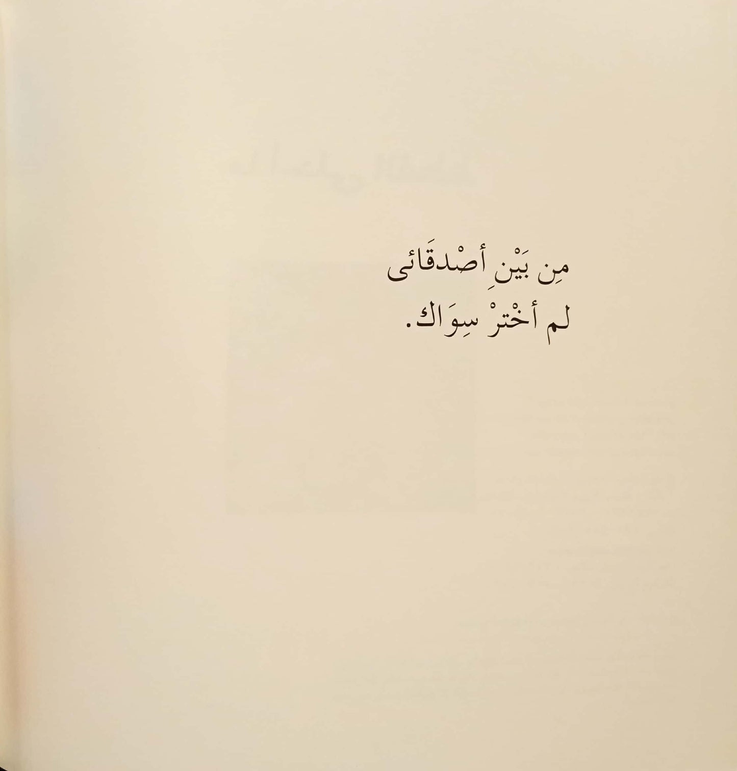 ما أحلى القطط