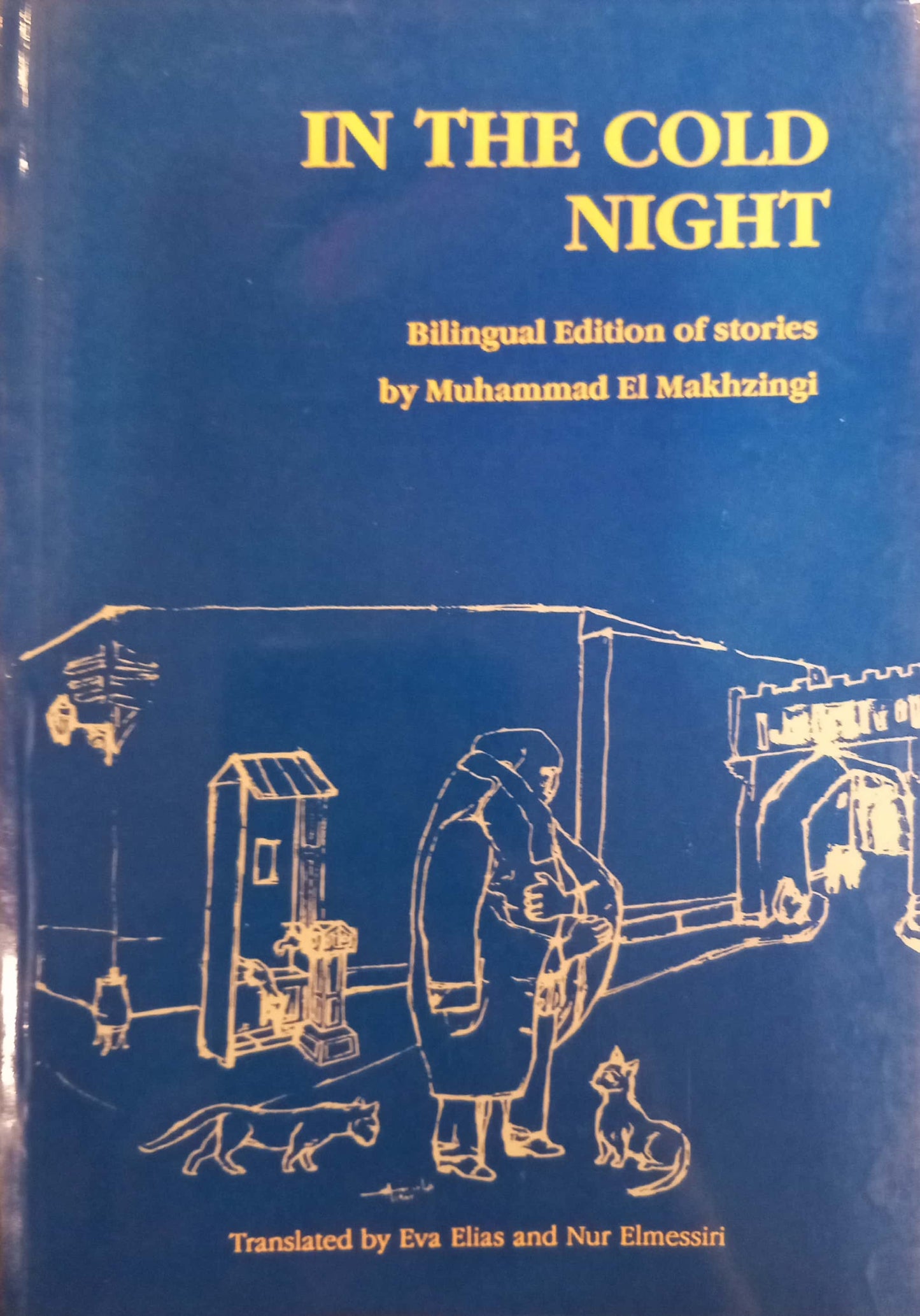 In the Cold Night - في الليل الصقيع - Bilingual edition of stories