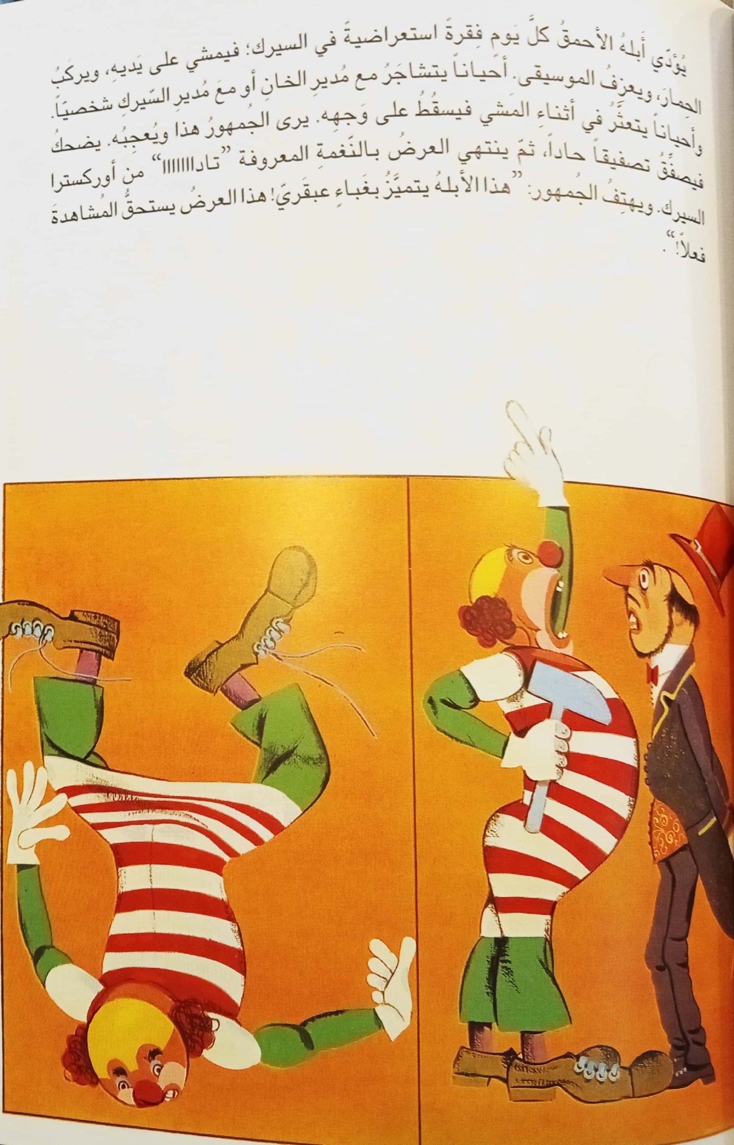 بلهاء ليست حمقاء - غلاف مُقوّى