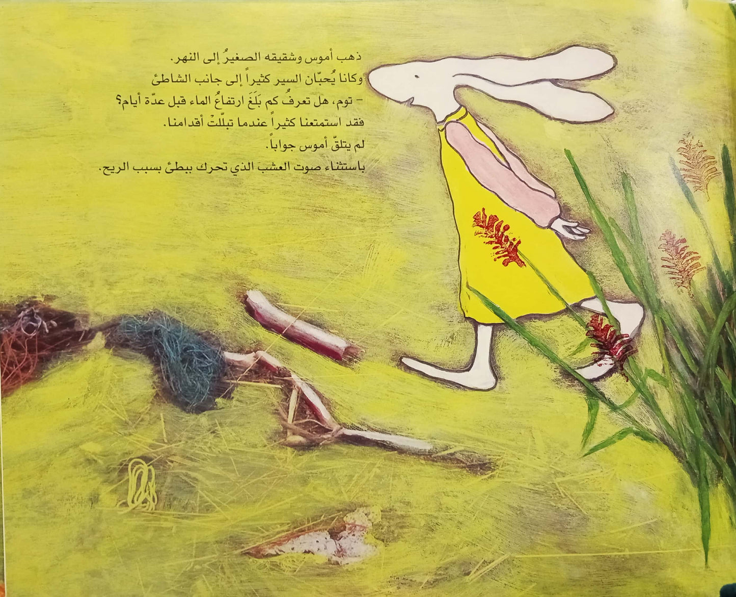 أشياء كثيرة جدا تم العثور عليها - غلاف مُقوّى
