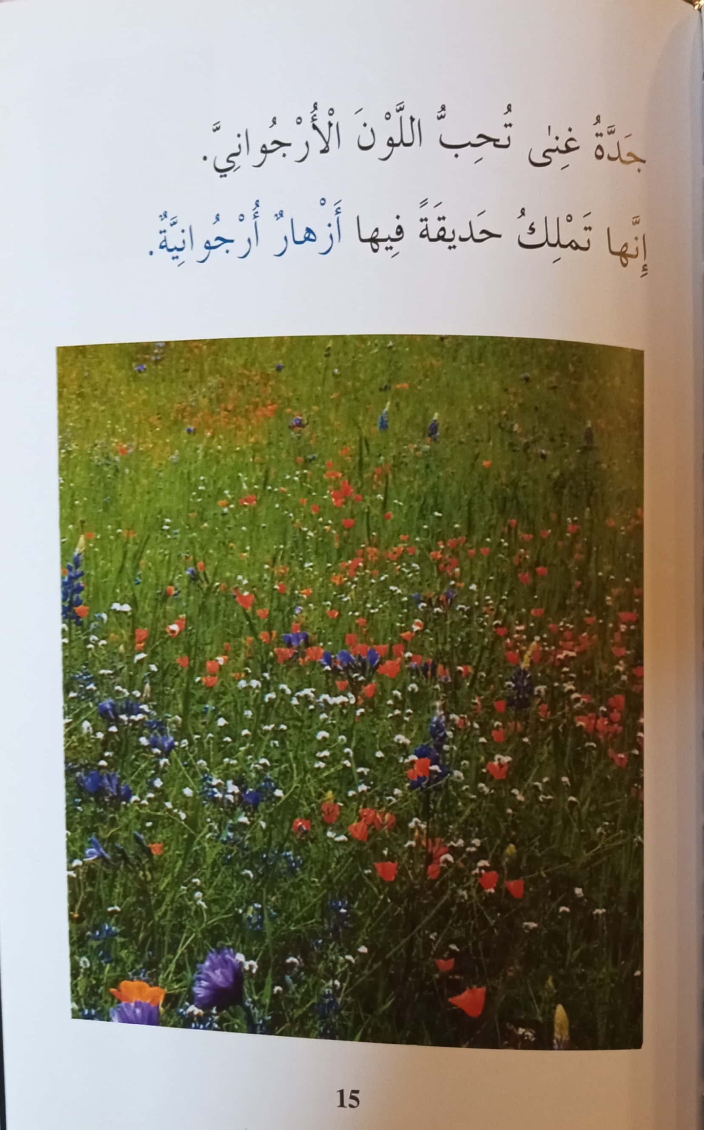 الألوان - سلسلة اقرأ عن - سلسلة غلاف مُقوّى