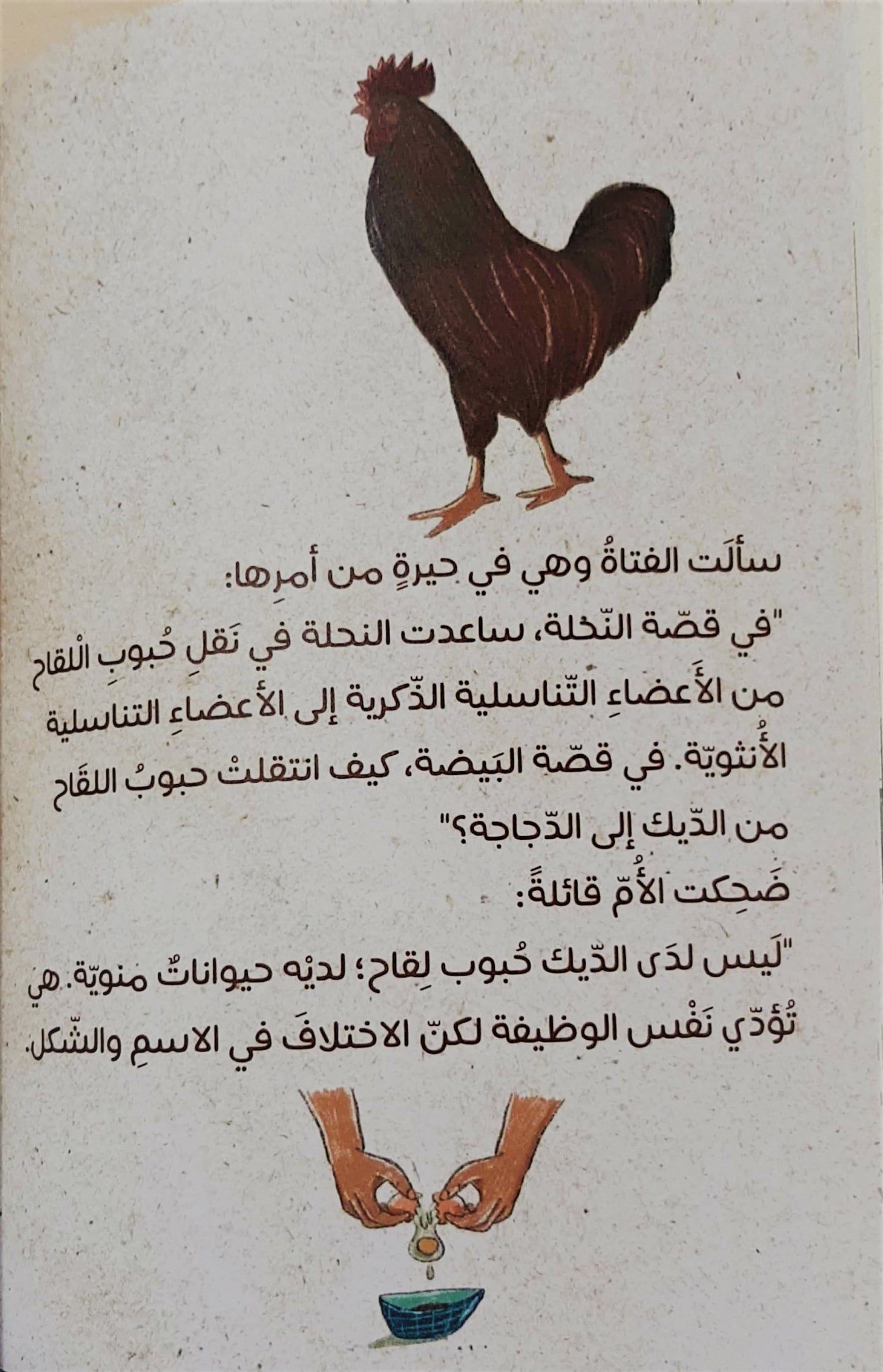حديث النحل والطيور
