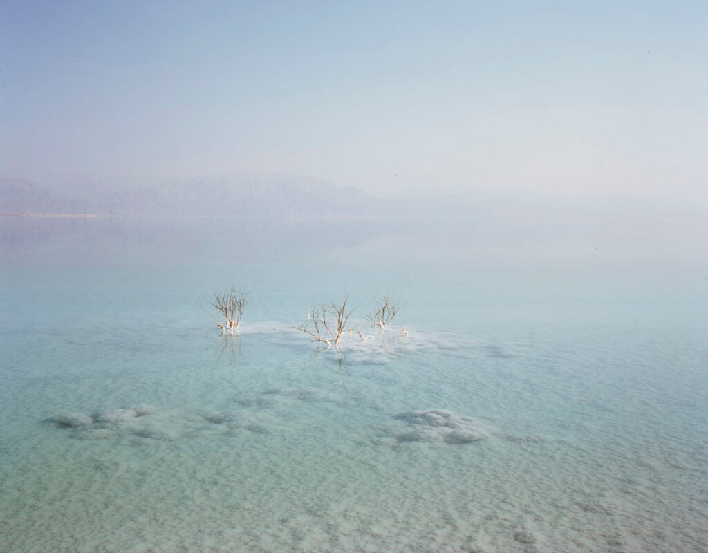Rusted Radishes: Sea Change - Issue 8 مجلة بيروت الأدبية والفنية: تغير كالبحر - الإصدار الثامن