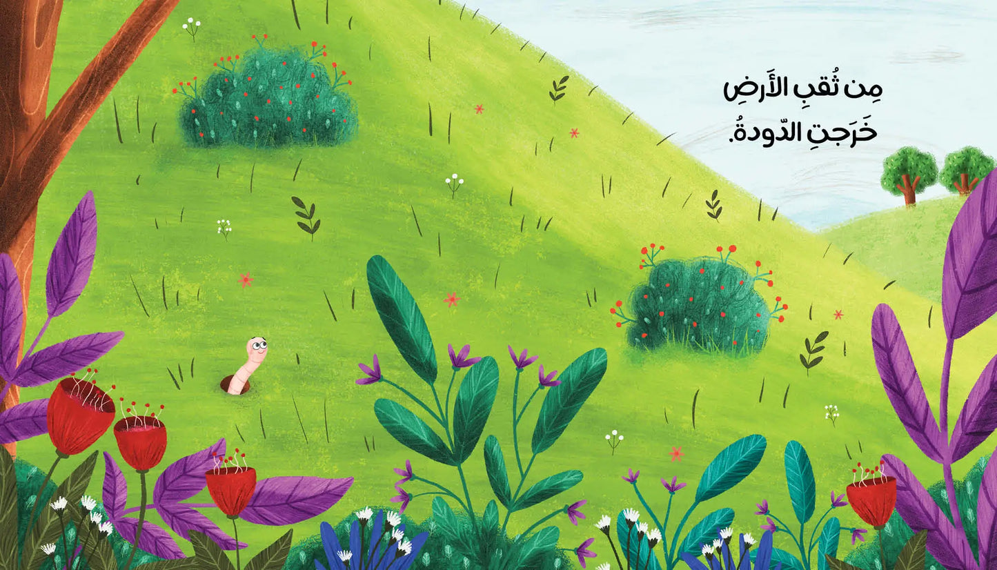 دودة صغيرة جدًّا - ورق مُقوّى