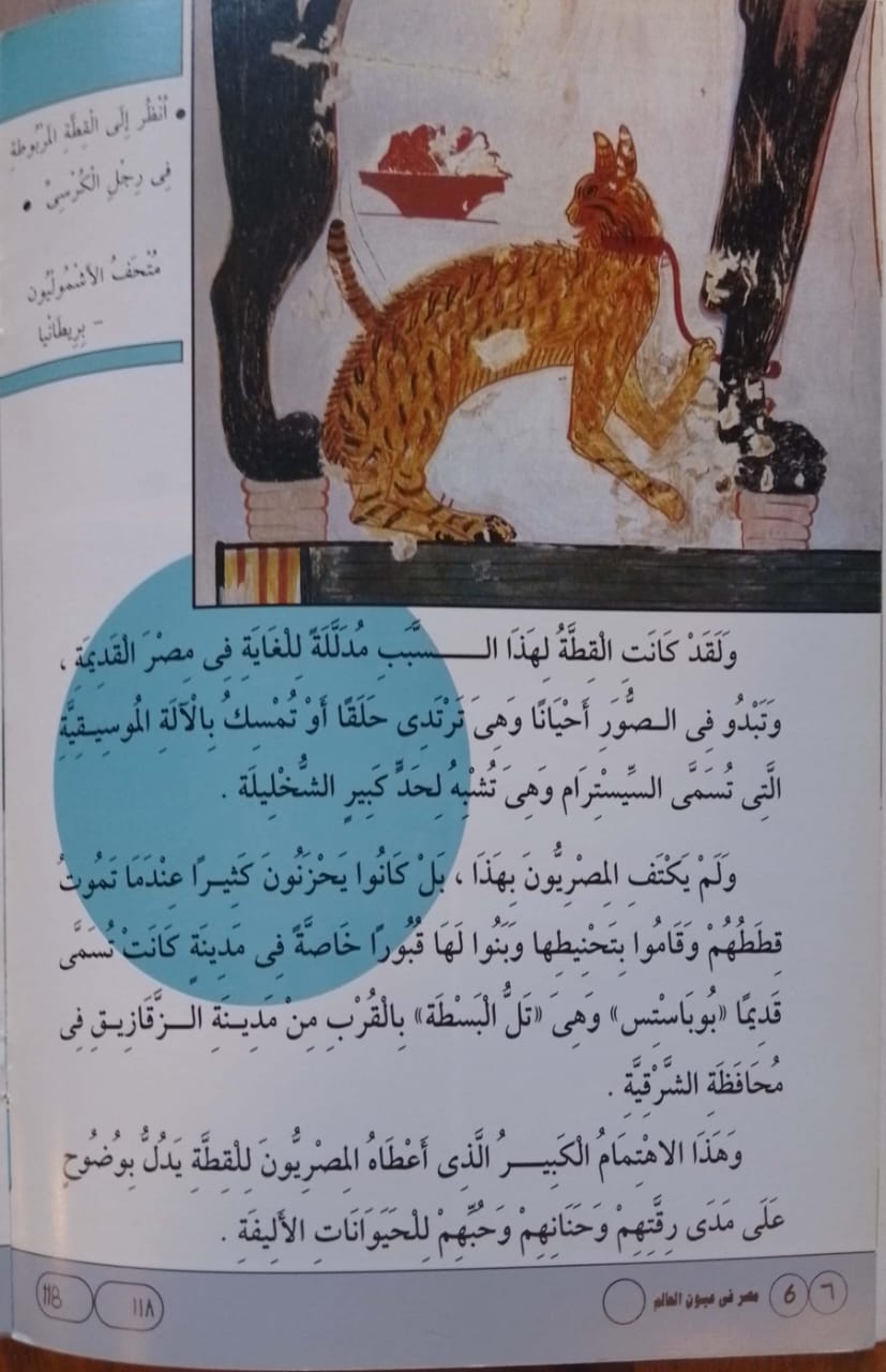 مصر في عيون بودابست - سلسلة موسوعة مصر فى عيون العالم