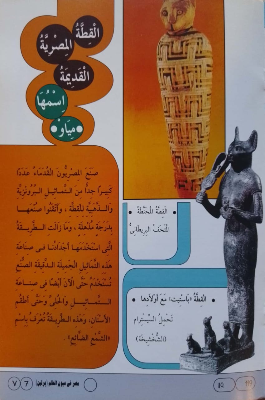 مصر في عيون بودابست - سلسلة موسوعة مصر فى عيون العالم