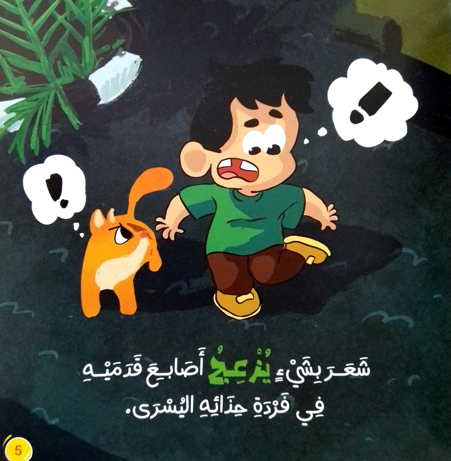 حصاة في حذائي