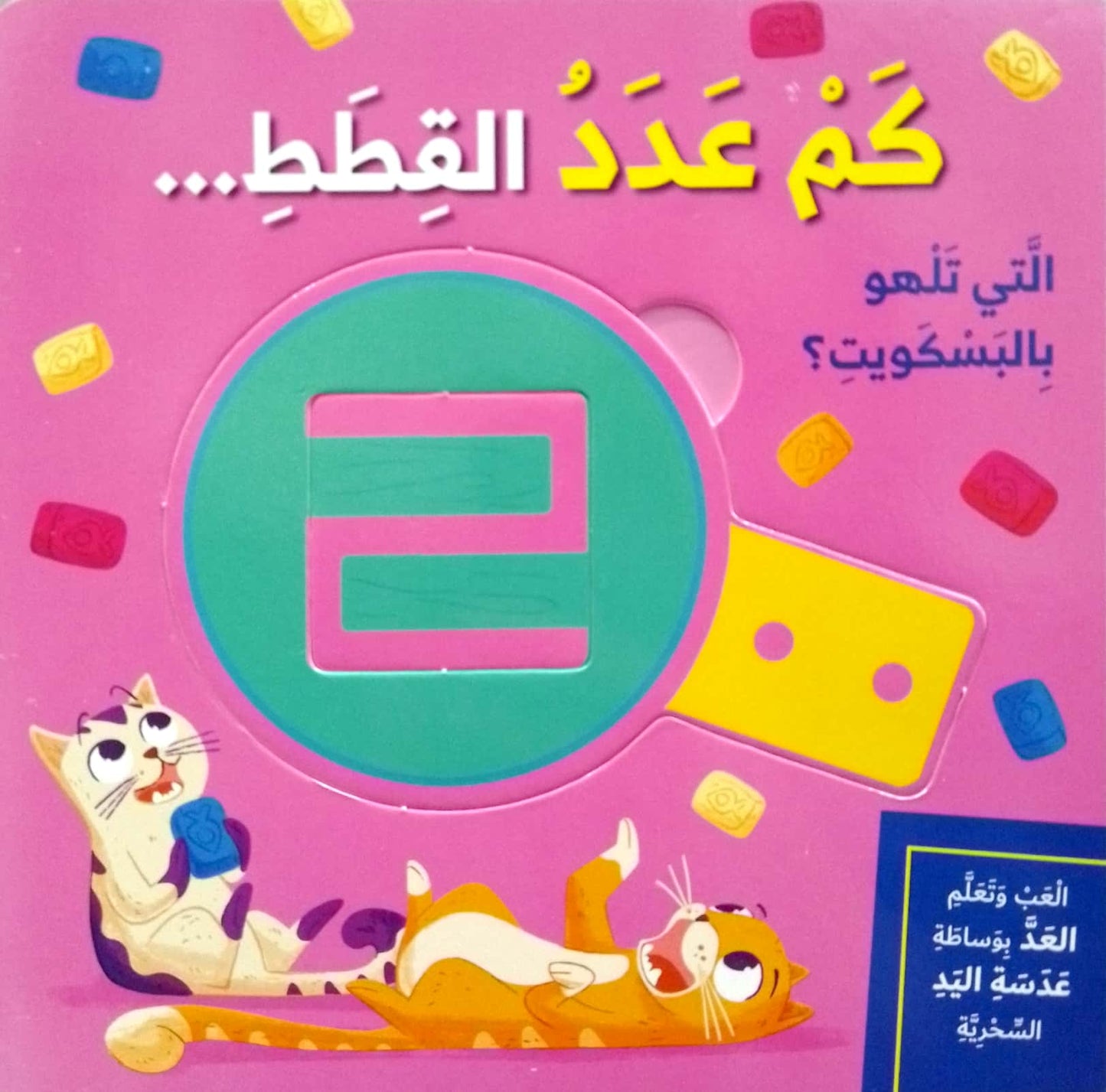 كم عدد القطط - ورق مُقوّى