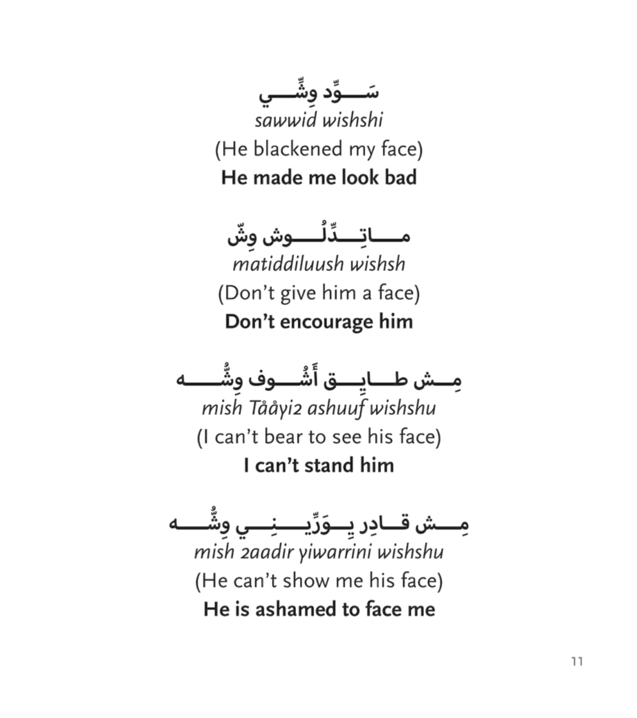 A Roving Eye: Head to Toe in Egyptian Arabic Expressions -Hardcover