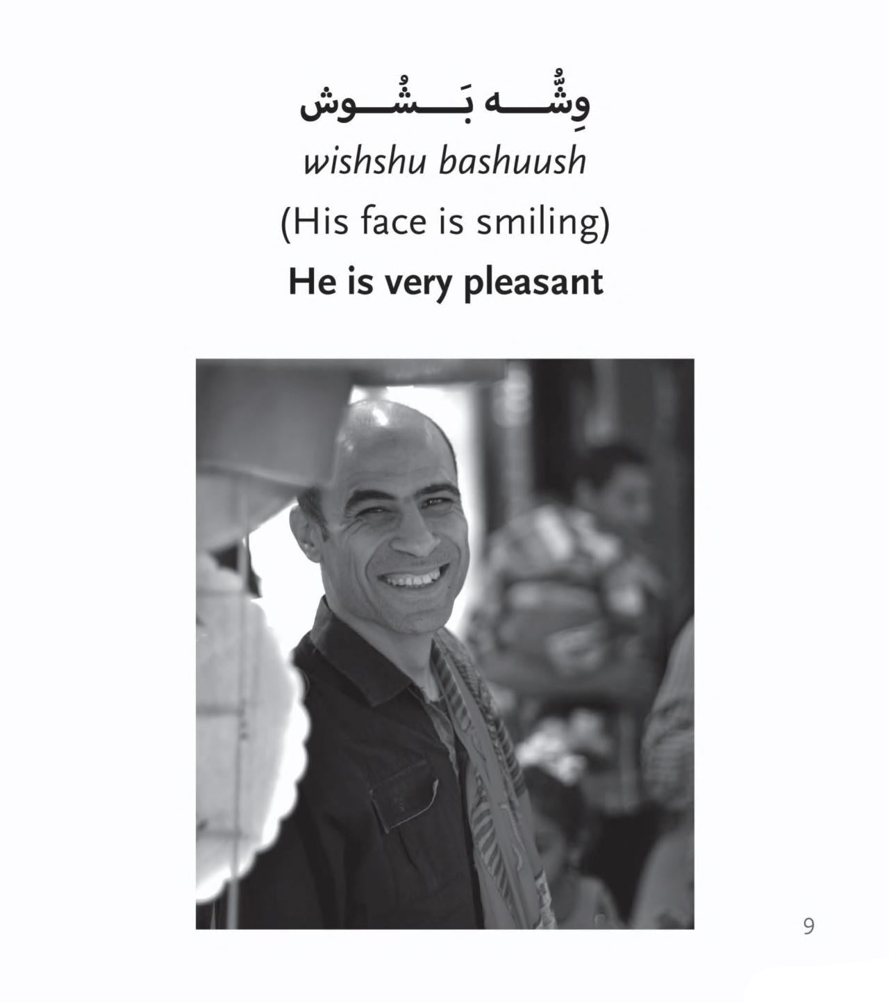 A Roving Eye: Head to Toe in Egyptian Arabic Expressions -Hardcover