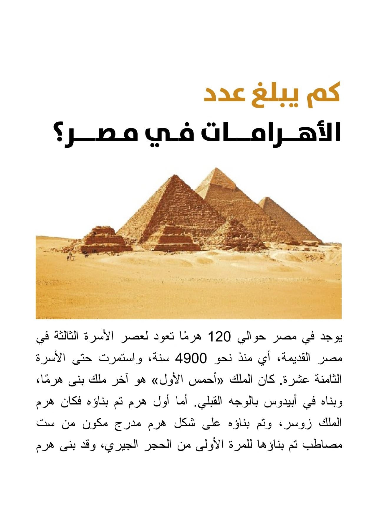 اسأل عالم آثار - غلاف مُقوّى
