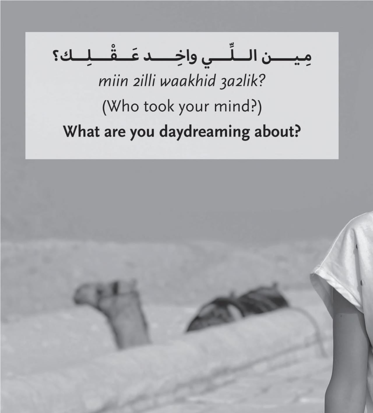 A Roving Eye: Head to Toe in Egyptian Arabic Expressions -Hardcover