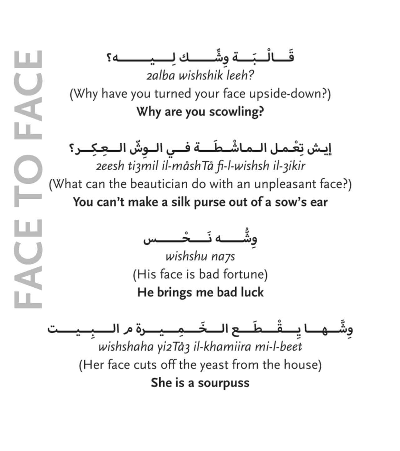 A Roving Eye: Head to Toe in Egyptian Arabic Expressions -Hardcover