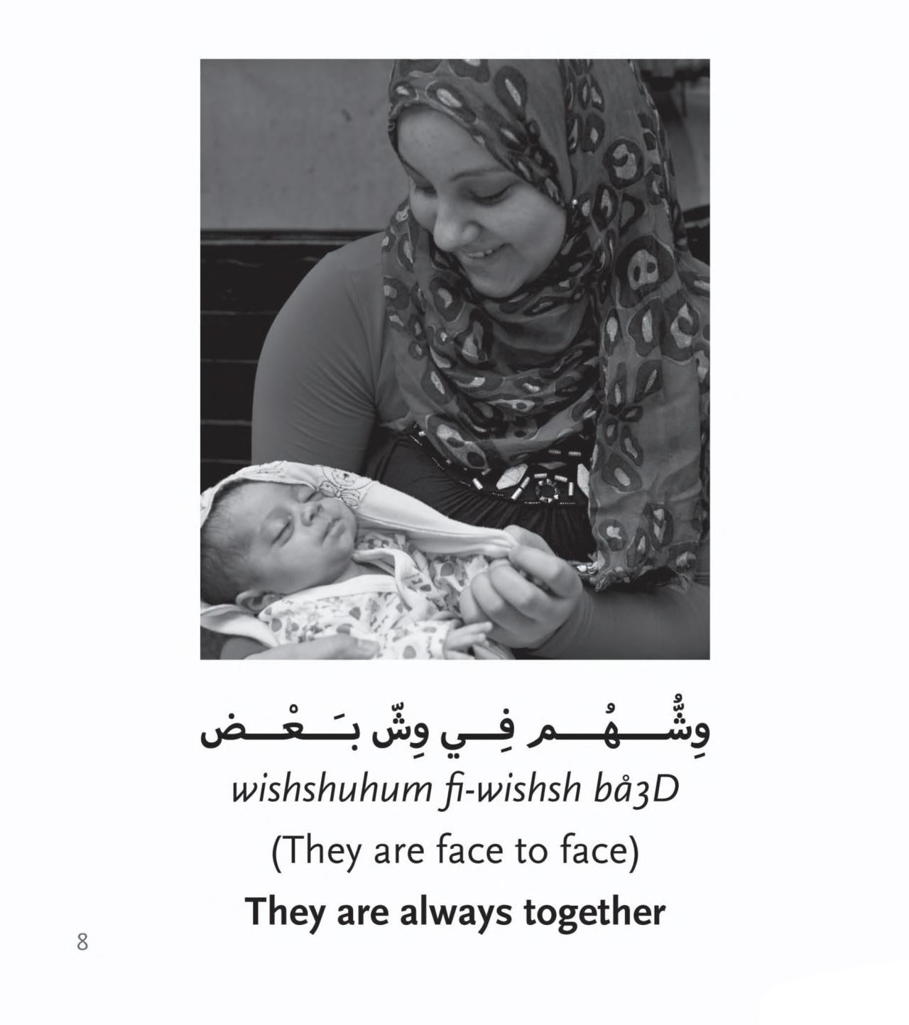 A Roving Eye: Head to Toe in Egyptian Arabic Expressions -Hardcover