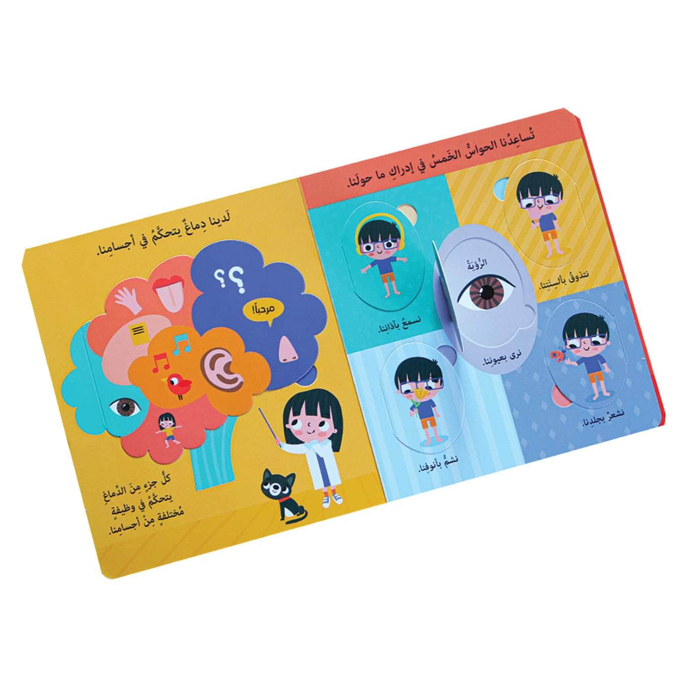 جسم الانسان - سلسلة افتح النوافذ واكتشف - ورق مُقوّى