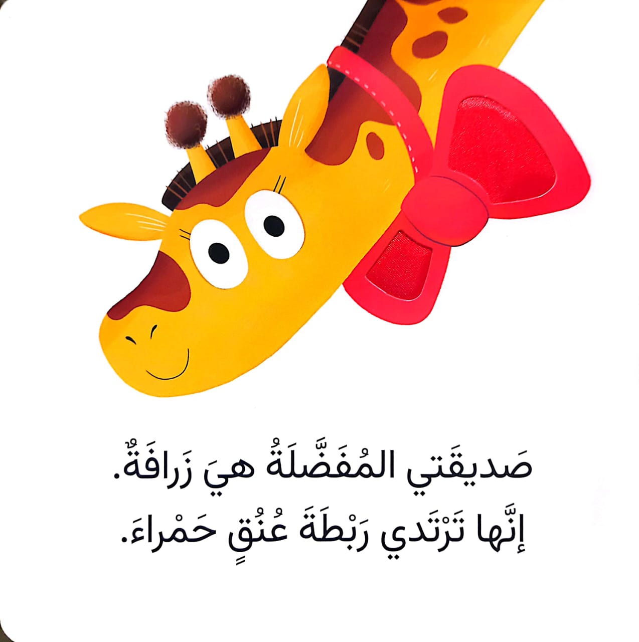 زرافة - سلسلة صديقي المفضل هو : مع اللمس والإحساس - ورق مقوى