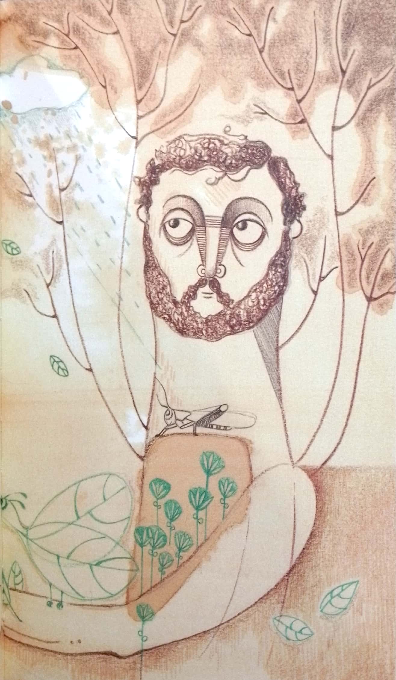 أرض الحكمة - غلاف مُقوّى