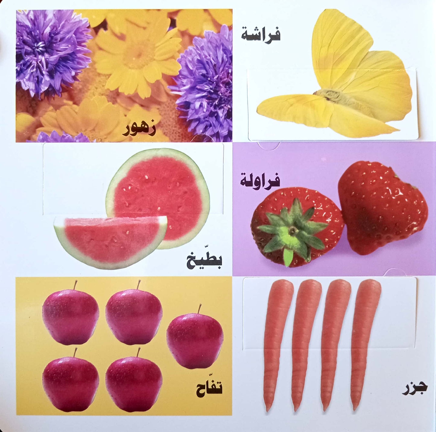 تشابه واختلاف - سلسلة افتح النافذة
